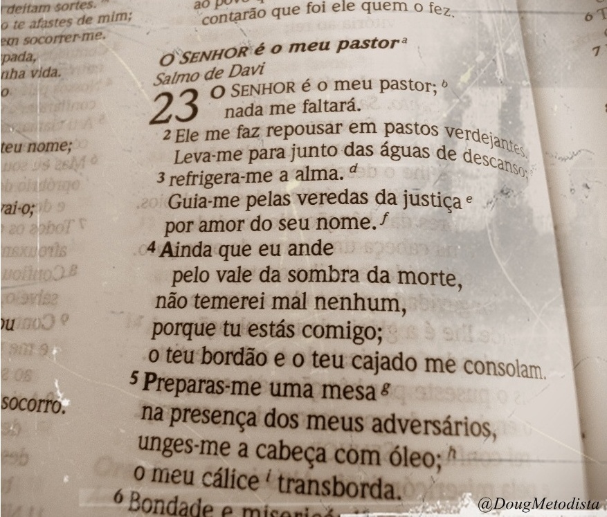 O Senhor é meu Pastor (Estudo Bíblico do Salmo 23) - Bíblia